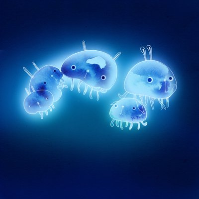 Jelly Fish, 2013 by Yoyo Zhao
